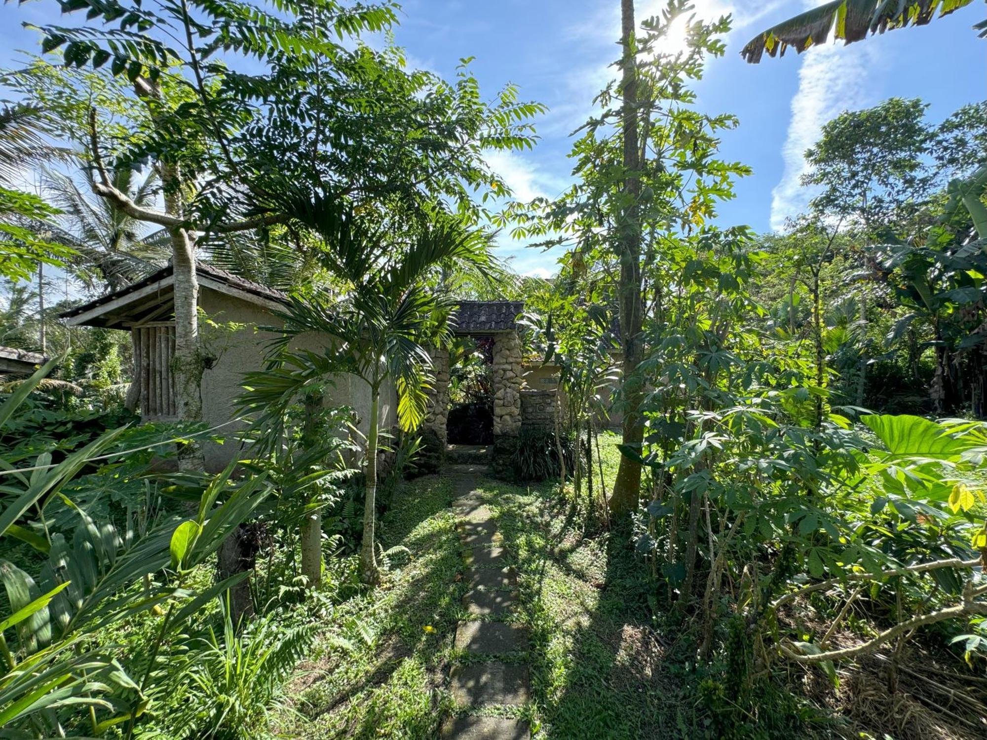 Dewa Jati Cottages Payangan Exteriér fotografie