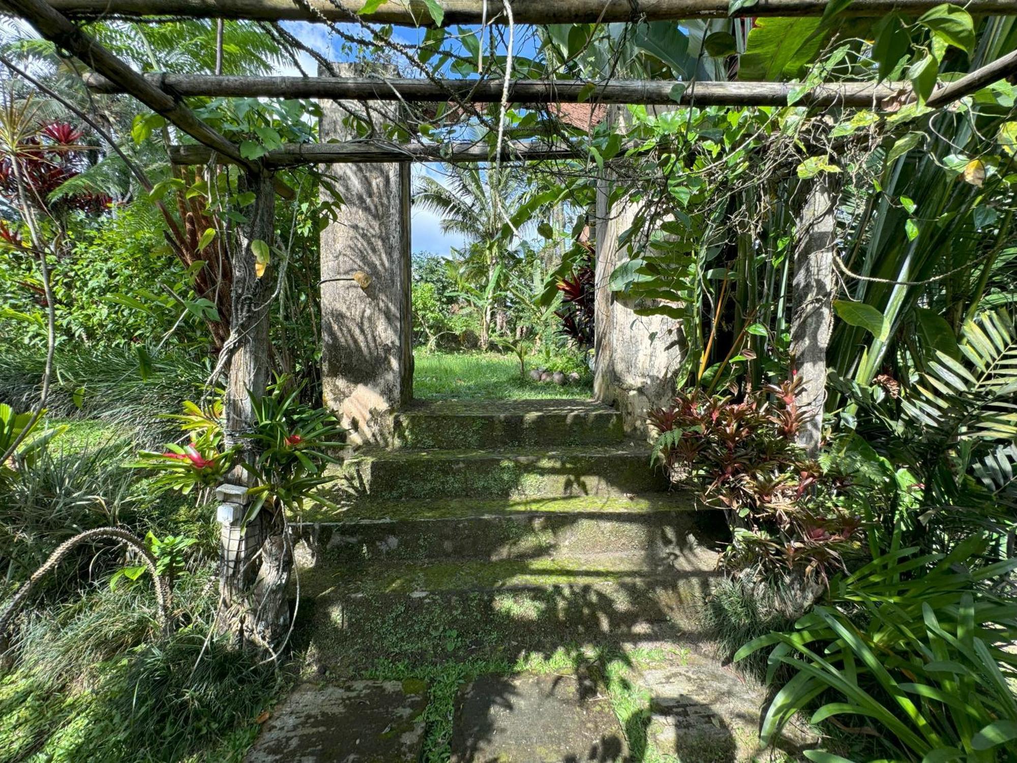 Dewa Jati Cottages Payangan Exteriér fotografie