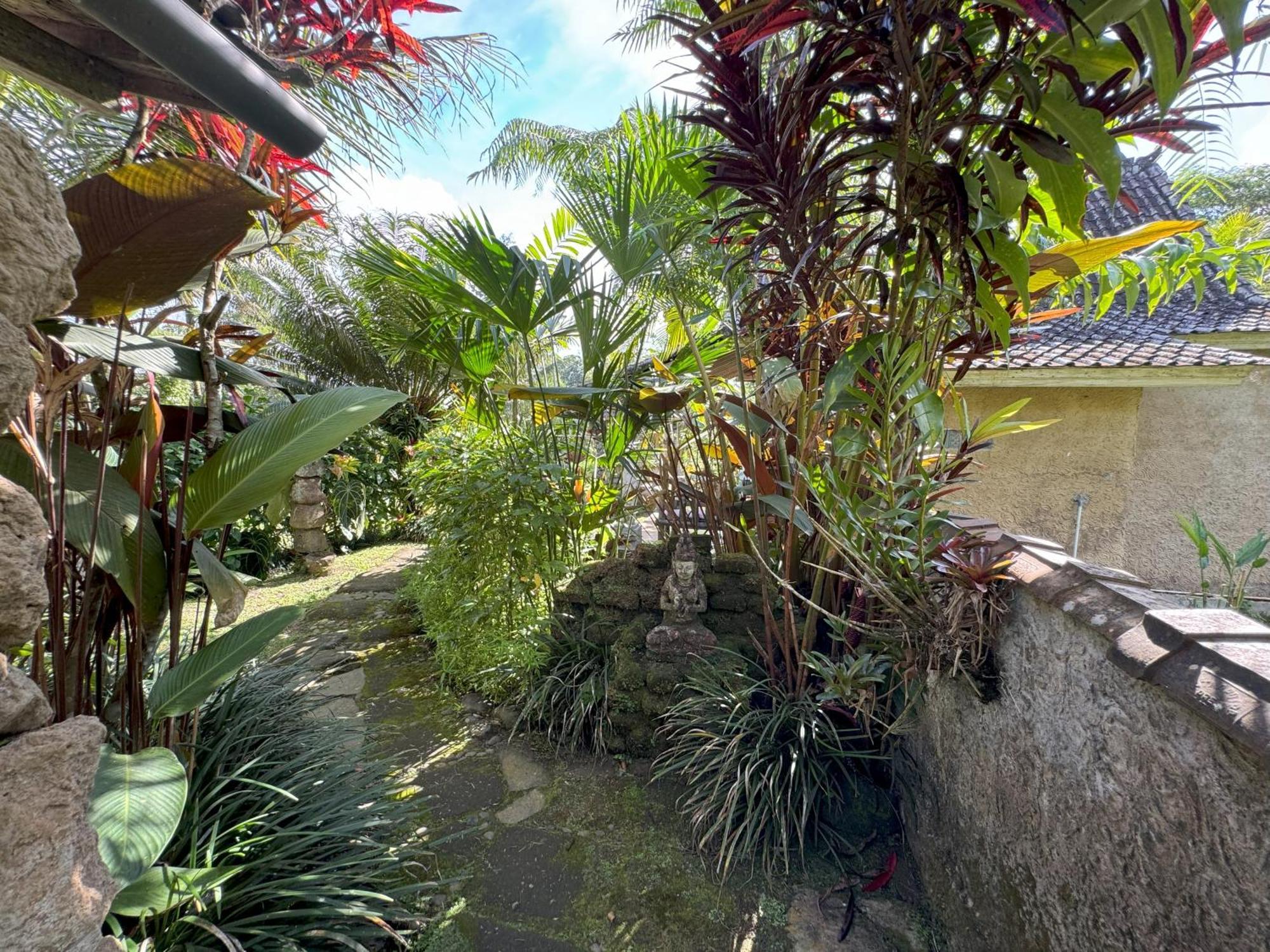 Dewa Jati Cottages Payangan Exteriér fotografie