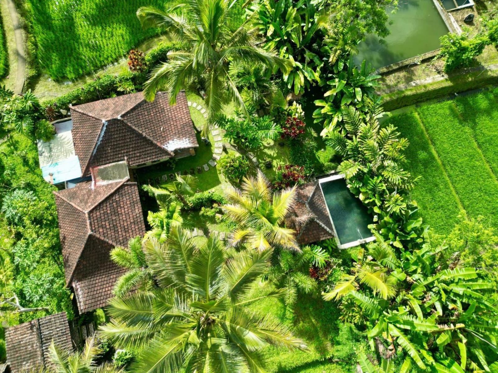 Dewa Jati Cottages Payangan Exteriér fotografie