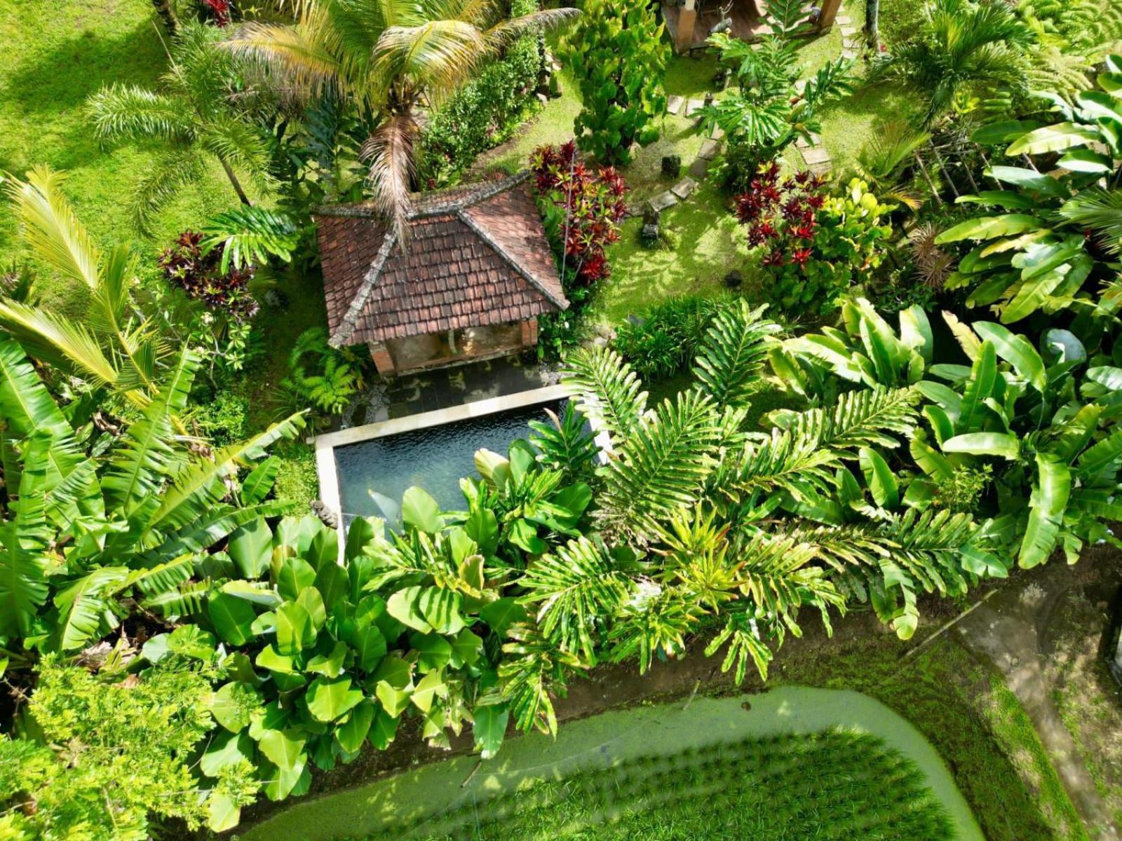 Dewa Jati Cottages Payangan Exteriér fotografie