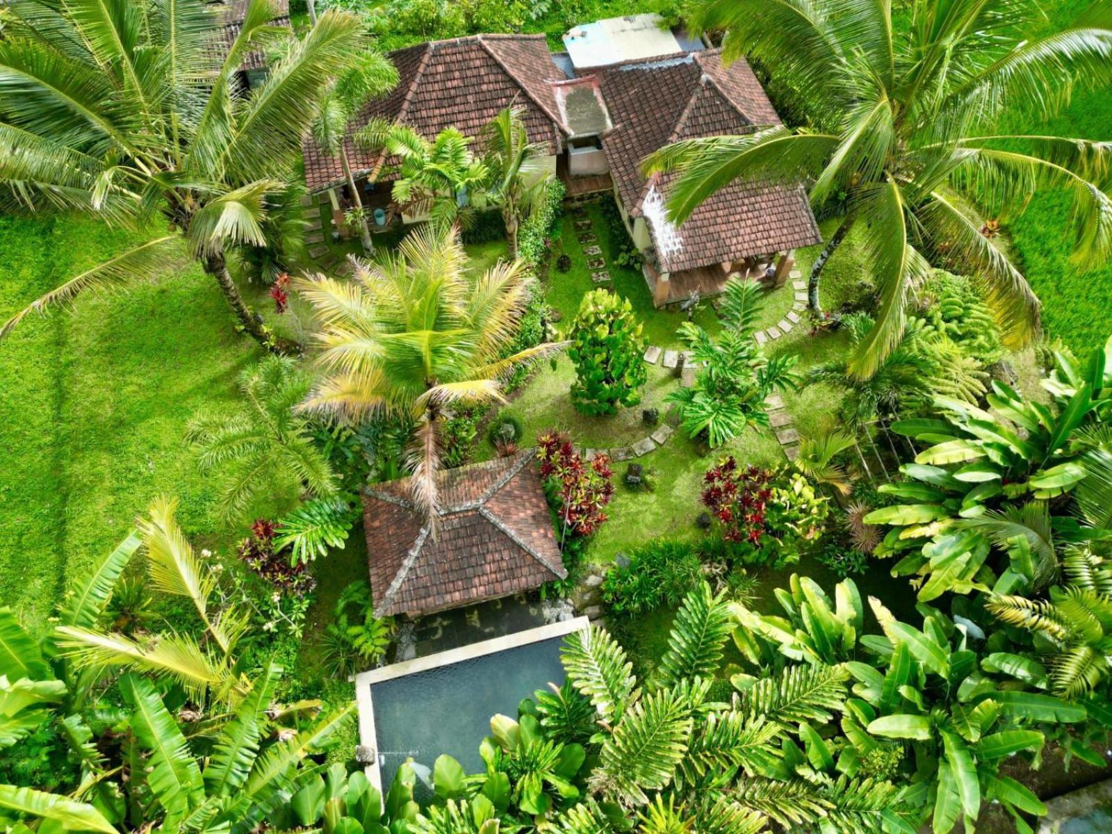 Dewa Jati Cottages Payangan Exteriér fotografie